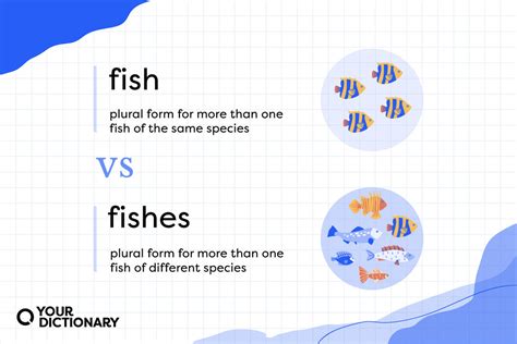 fish traduzione|fish meaning in italian.